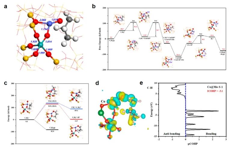 ​于吉红/梅东海/孙启明JACS: 三配位单原子Co锚定在Mo掺杂Si分子筛中，实现高效稳定催化丙烷脱氢