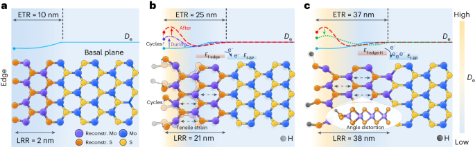 Nature Catalysis：MoS2电催化析氢反应中单个活性位点的可视化结构演变