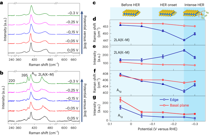 王翔/任斌/谭平恒Nature Catalysis：MoS2电催化析氢反应中单个活性位点的可视化结构演变