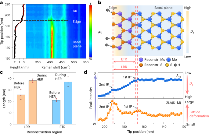 王翔/任斌/谭平恒Nature Catalysis：MoS2电催化析氢反应中单个活性位点的可视化结构演变