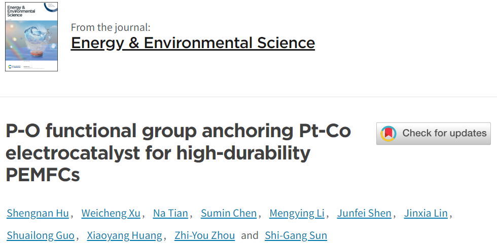 孙世刚院士/田娜教授EES：PtCo/P2.73Ox-KB助力高耐久性PEMFCs
