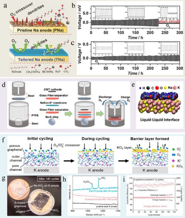杨全红/於曉亮/梁庆华AM综述：实用碱金属-空气电池，阳极稳定化策略回顾！