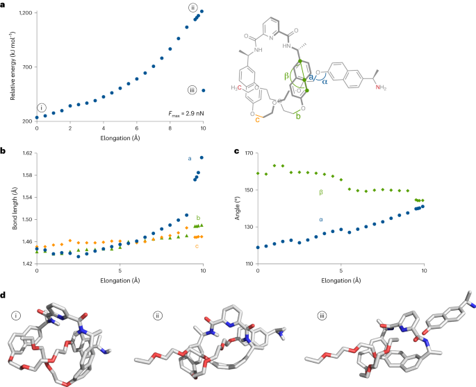 华东师范大学，重磅Nature Chemistry！