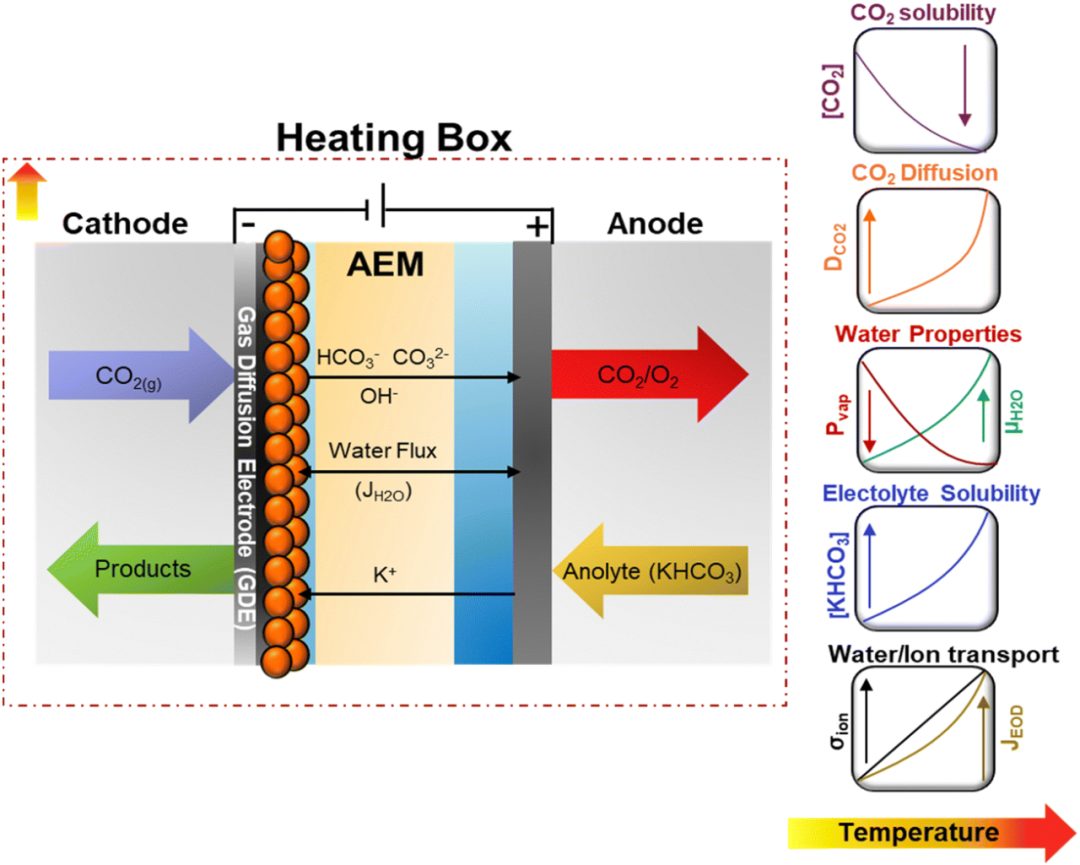 EES Catalysis: 关于高温下零间隙电解槽中二氧化碳电解的见解！
