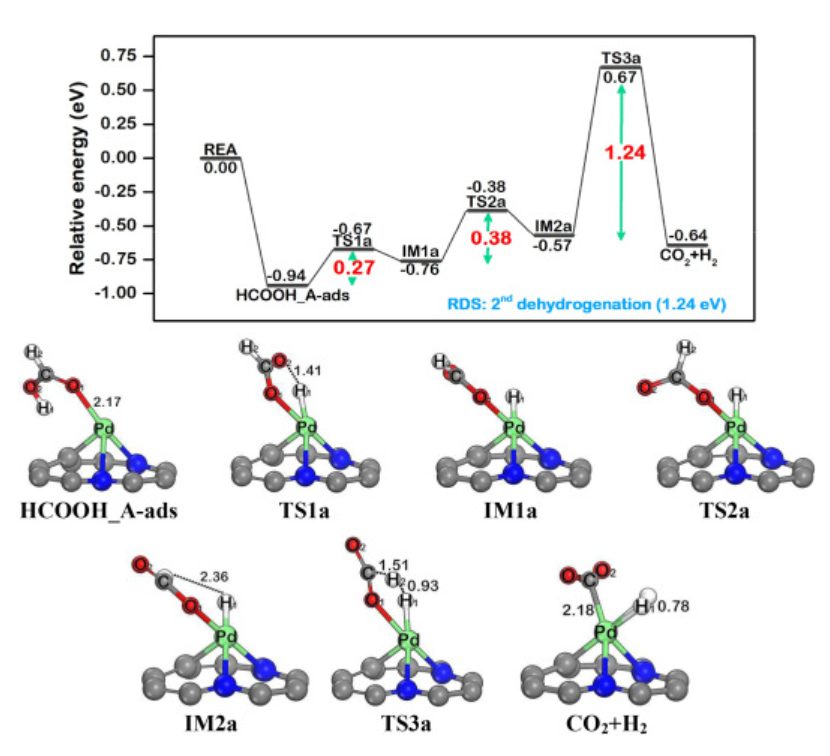 【纯计算】Int. J. Hydrogen Energ.：Pd@N-掺杂石墨烯上甲酸催化制氢的机理研究