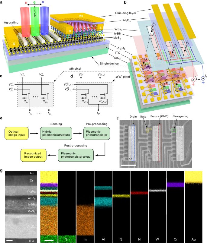 浙江大学，最新Nature子刊！