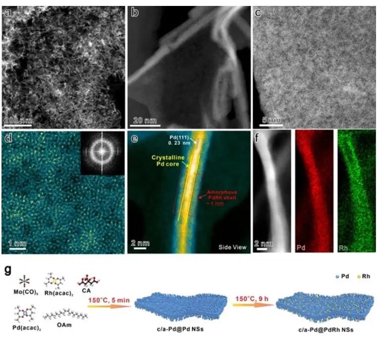 谢水奋/张霞光AM：c/a-Pd@PdRh NSs在ORR中的活性-稳定性平衡