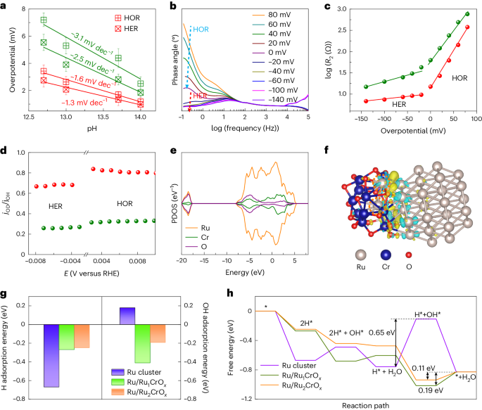 浙大潘洪革/孙文平Nature Catalysis：构建高效碱性氢电催化的团簇-团簇异质结构