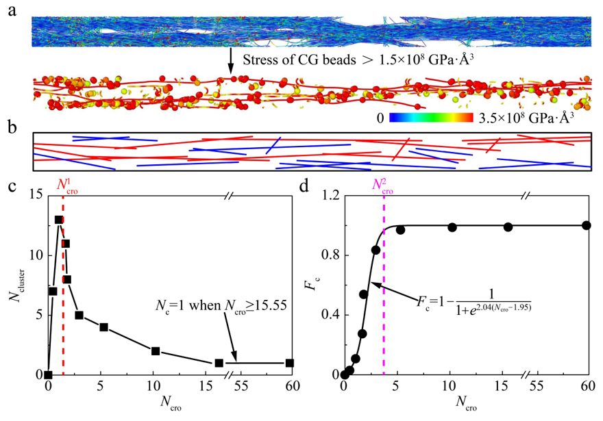 【MD】ACS Nano | 江南大学赵军华团队: 基于图论思想发展碳管网络力学的传载连通性理论