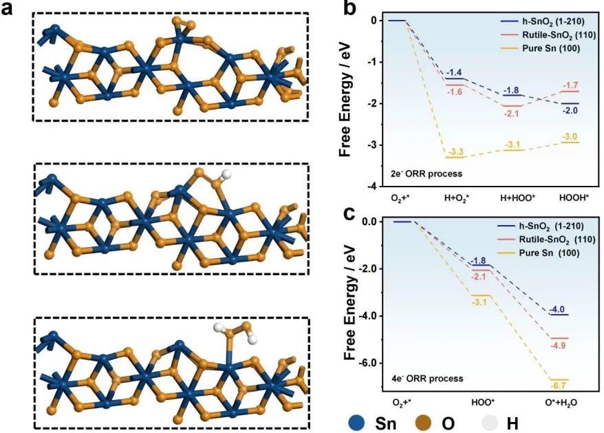 【DFT+实验】Angew.：用于在中性介质中高效电合成H2O2的亚稳态六方相SnO2纳米带