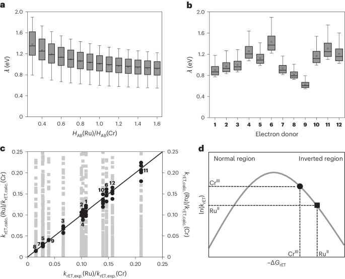 ​Nature Chemistry：光催化效率提升关键，逃逸现象如何重塑反应速率？