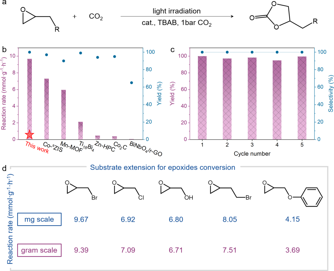 CCS Chemistry：类叶绿素仿生酶Mg-N4结构高效光催化CO2化学固定