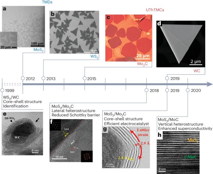 Nature Materials综述: 揭秘二维材料的新奇迹，金属碳化物与硫属化物的异质结构革命！