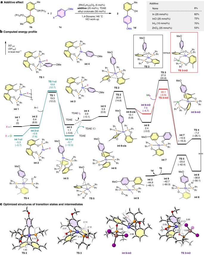 Nature Catalysis: 基于铑催化的非应变芳基-芳基键活化的分裂交叉偶联策略