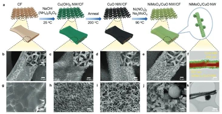 AFM: NiMoO4/CuO触发协同多相催化效应，促进NO3−电还原为NH3