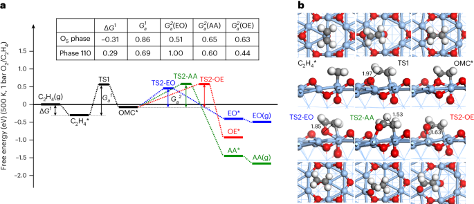 复旦刘智攀Nature Catalysis：揭示银催化剂神秘面纱：乙烯高效转化新篇章！