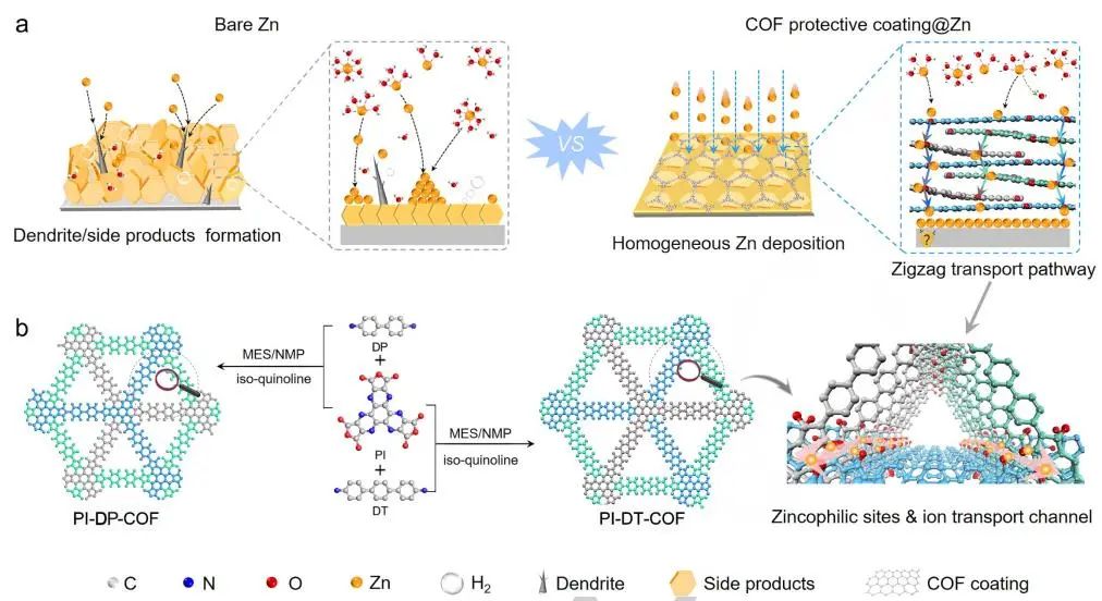 ​Angew：锯齿状跳跃位点的COF涂层助力Zn负极