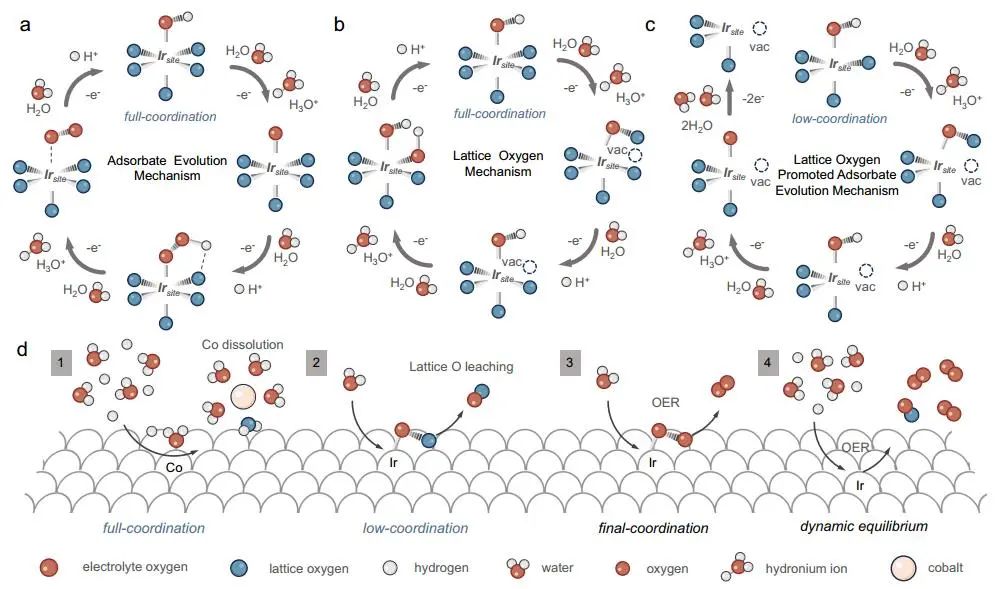 四川大学Nature子刊：共掺杂SrIrO3高效催化酸性OER！