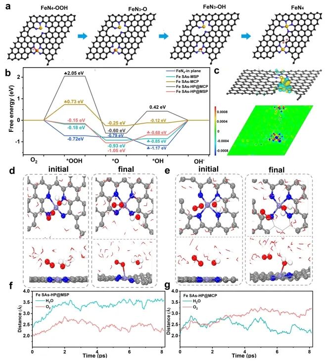 ​石大Nature子刊：内位点结构异质性起大作用，显著促进Fe单原子催化ORR