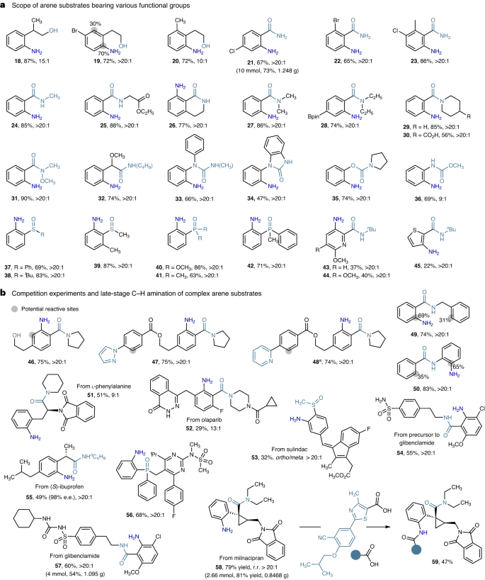 南开大学Nature Catalysis: 铁-氨基自由基实现高选择性芳烃C-H胺化反应