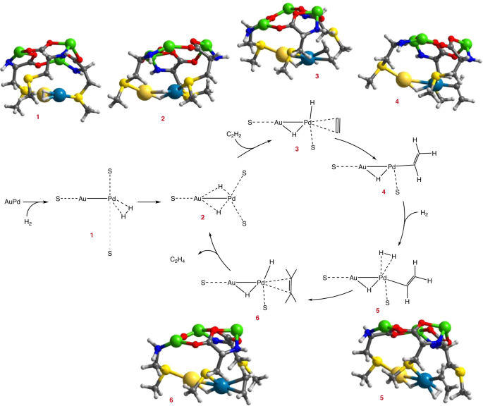 Nature Catalysis: MOF支撑的Pd1-Au1二聚体实现乙炔高效半加氢