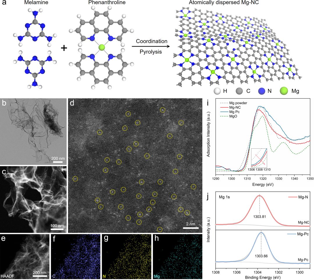 CCS Chemistry：类叶绿素仿生酶Mg-N4结构高效光催化CO2化学固定