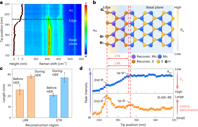 Nature Catalysis：MoS2电催化析氢反应中单个活性位点的可视化结构演变