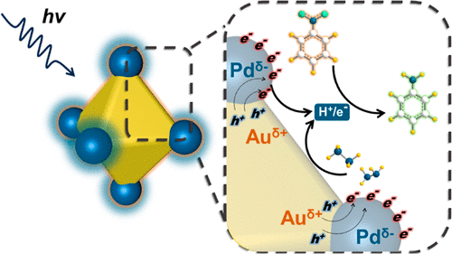 厦门大学ACS Catalysis: 位点选择性双金属异质纳米结构，实现高效光催化硝基苯加氢反应