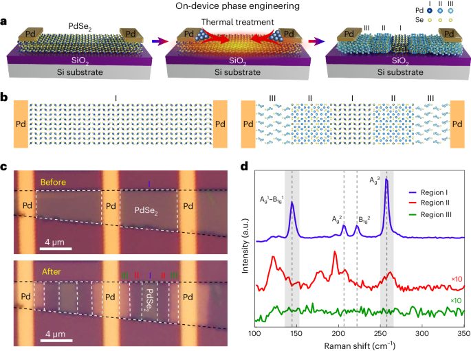 南京大学，最新Nature Materials！