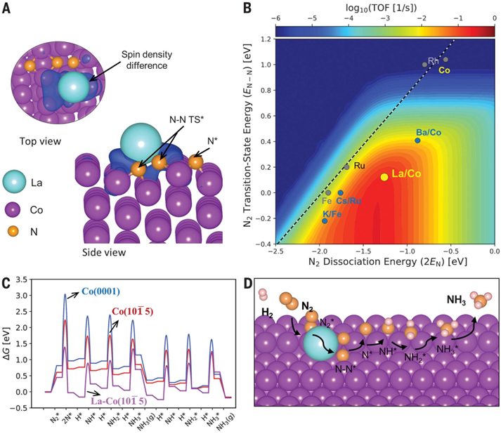 热催化合成氨，最新Science！