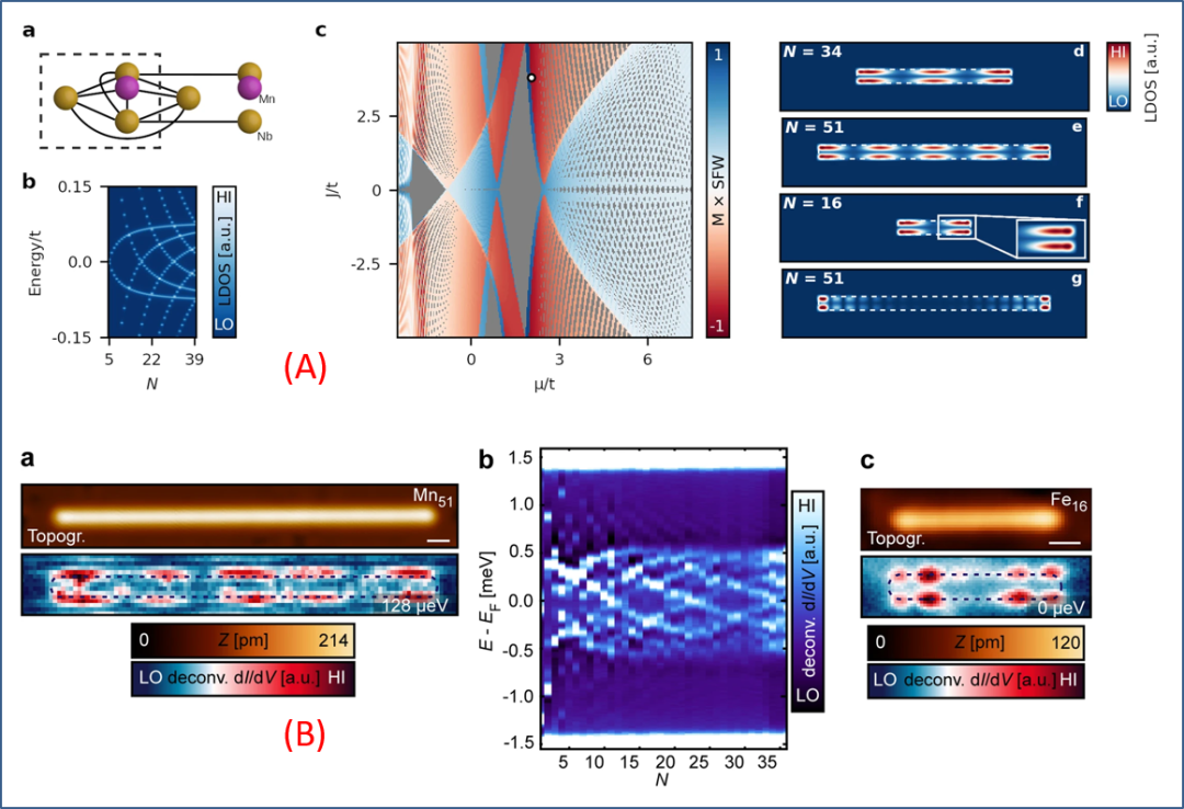 【DFT+实验】强攻磁性原子链的马约拉纳