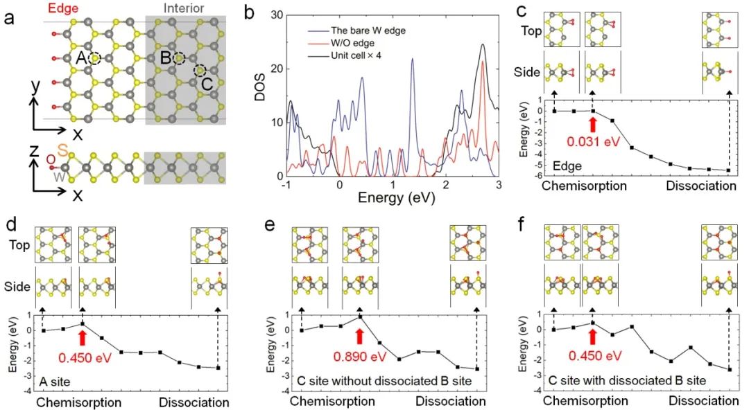 【DFT+实验】Nano Lett. | 湖南大学潘安练教授团队: 单层WS₂中氧吸附诱导的荧光增强及其扩展行为