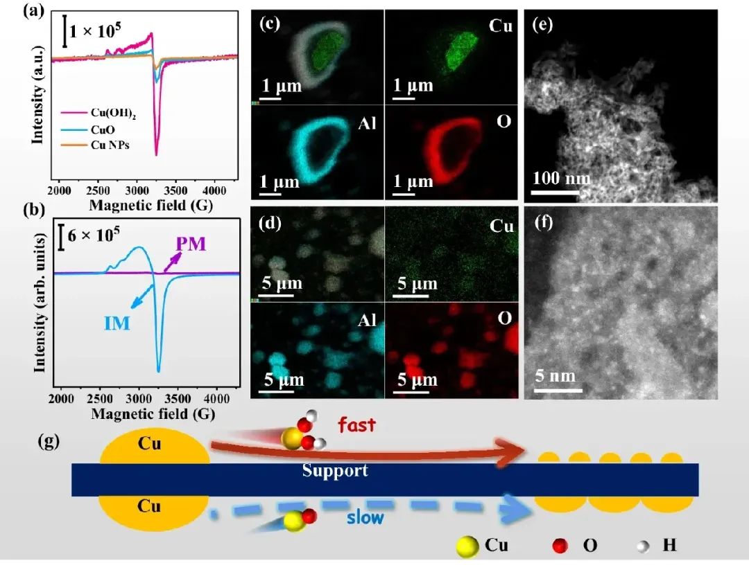 大连化物所傅强团队，最新Nature子刊！