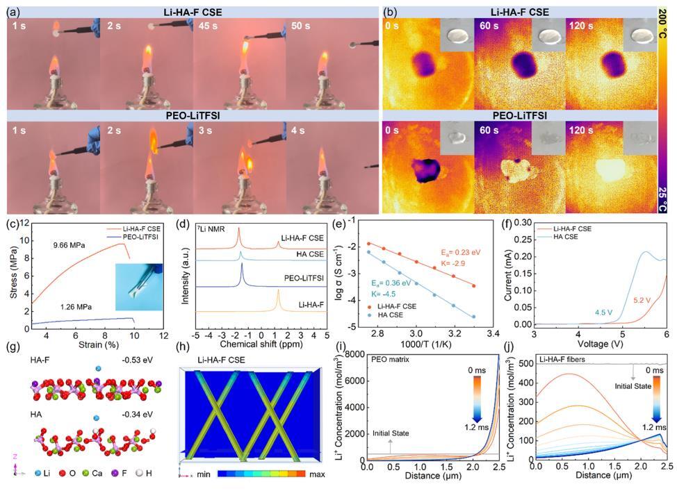 北化工JACS：Li-HA-F基CSEs助力高性能固态电池