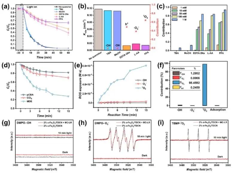 ​湖大/中南林科大ACS Catalysis：构建α-Fe2O3/TDCN Z型异质结，探究临界物种1O2的产生及其效应