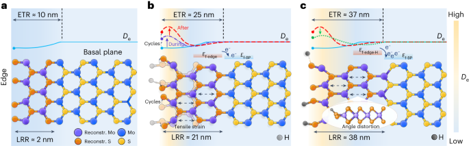 王翔/任斌/谭平恒Nature Catalysis：MoS2电催化析氢反应中单个活性位点的可视化结构演变