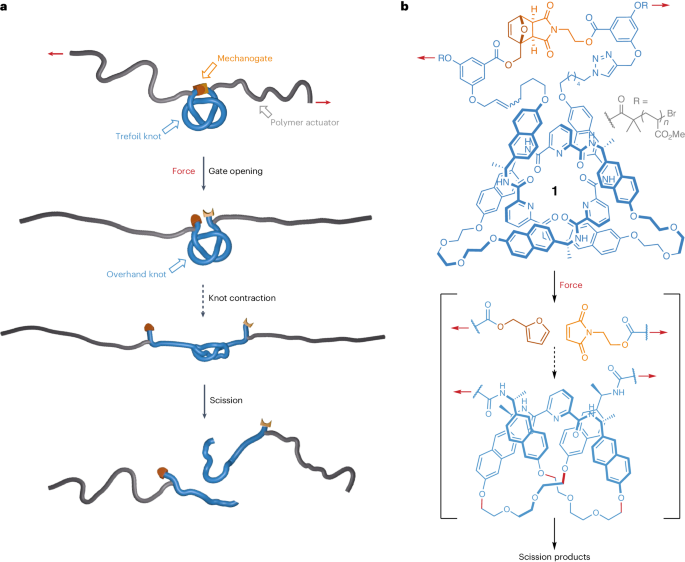 华东师范大学，重磅Nature Chemistry！