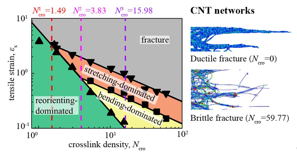 【MD】ACS Nano | 江南大学赵军华团队: 基于图论思想发展碳管网络力学的传载连通性理论