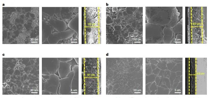 马里兰大学王春生团队，最新Nature子刊！另辟蹊径实现含氟“自由”