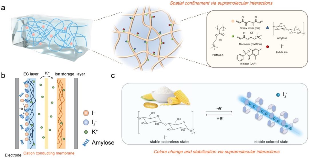 余桂华，最新AM！基于超分子相互作用，设计双稳态电致变色离子凝胶，用于节能显示！