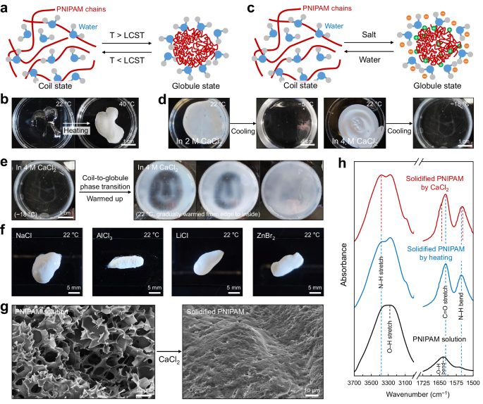 3D打印，最新Nature子刊！