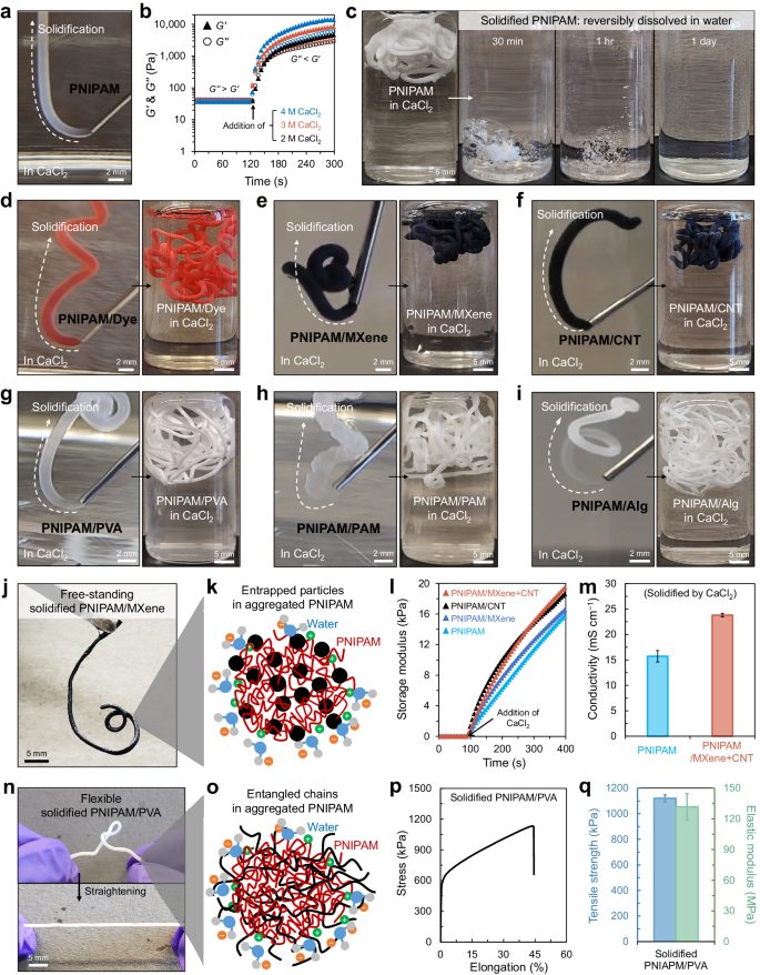 3D打印，最新Nature子刊！