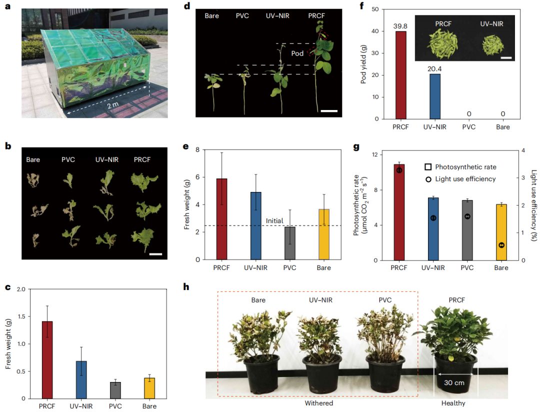 南京大学两大「国家杰青」团队，最新Nature Sustainability！一张膜，跨学科解决“水-粮食-能源”危机！