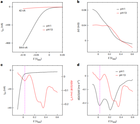 神仙眷侣！段镶锋&黄昱夫妇携手，最新Nature Catalysis！