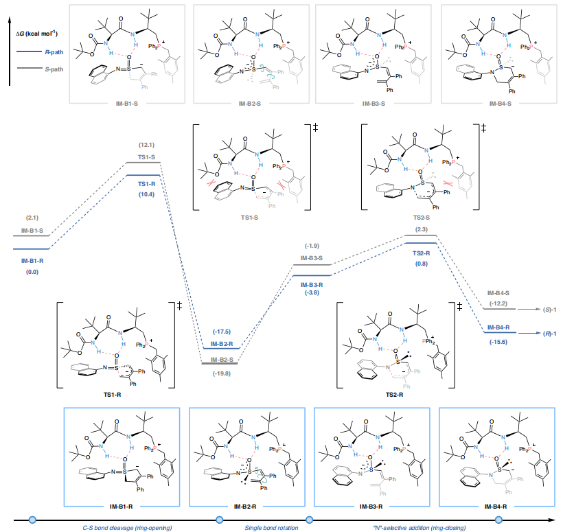 四川大学「国家优青」，最新Nature子刊！