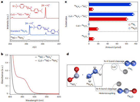 「国家高层次青年人才」一作兼通讯，重磅Nature Chemistry！