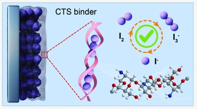 东北师大JACS：Janus粘合剂化学同步增强碘吸附和氧化还原动力学实现可持续水性 Zn-I2电池