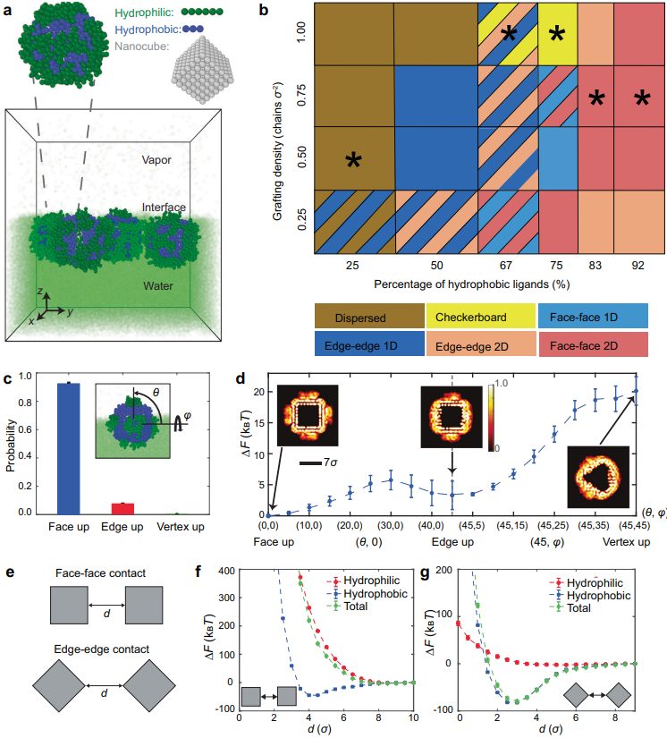 最新Nature子刊：理论计算引导，纳米晶自组装策略！