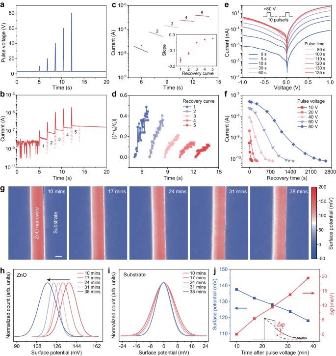 「长江学者」+90后硕导！兰州大学，重磅Nature子刊！