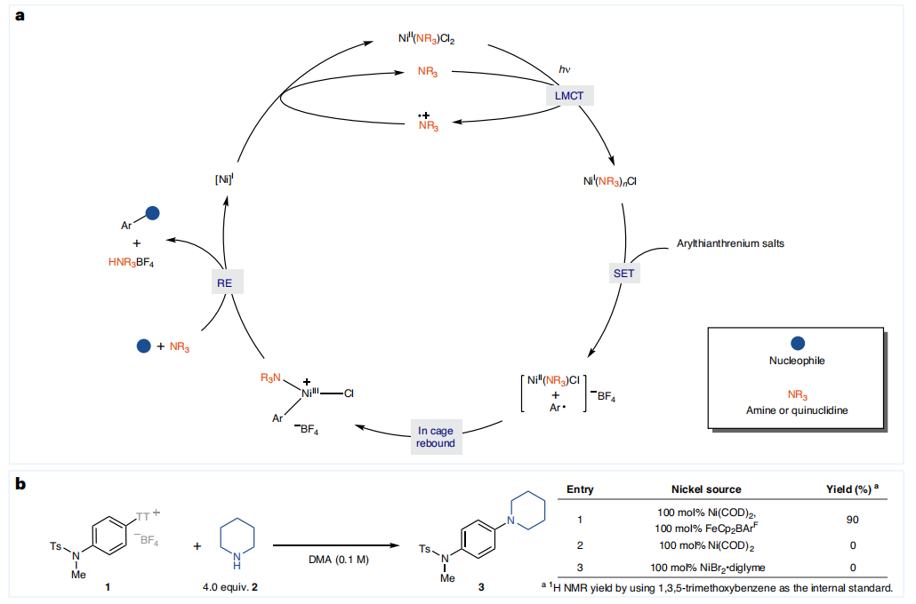 Ni催化，重磅Nature Catalysis！